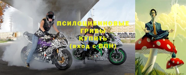 герыч Ельня